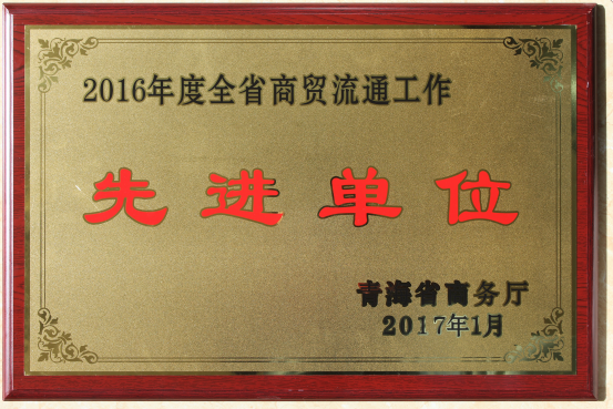 臨空開投公司榮獲2016年度全省商貿(mào)流通工作先進單位